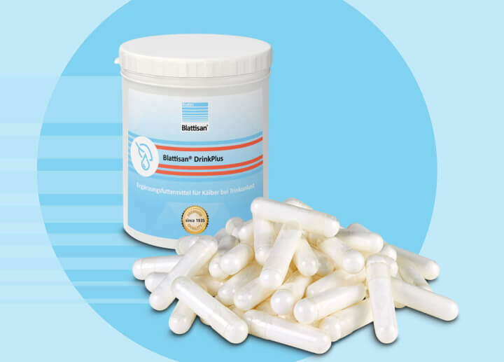 blattisan drinkplus rind artikel